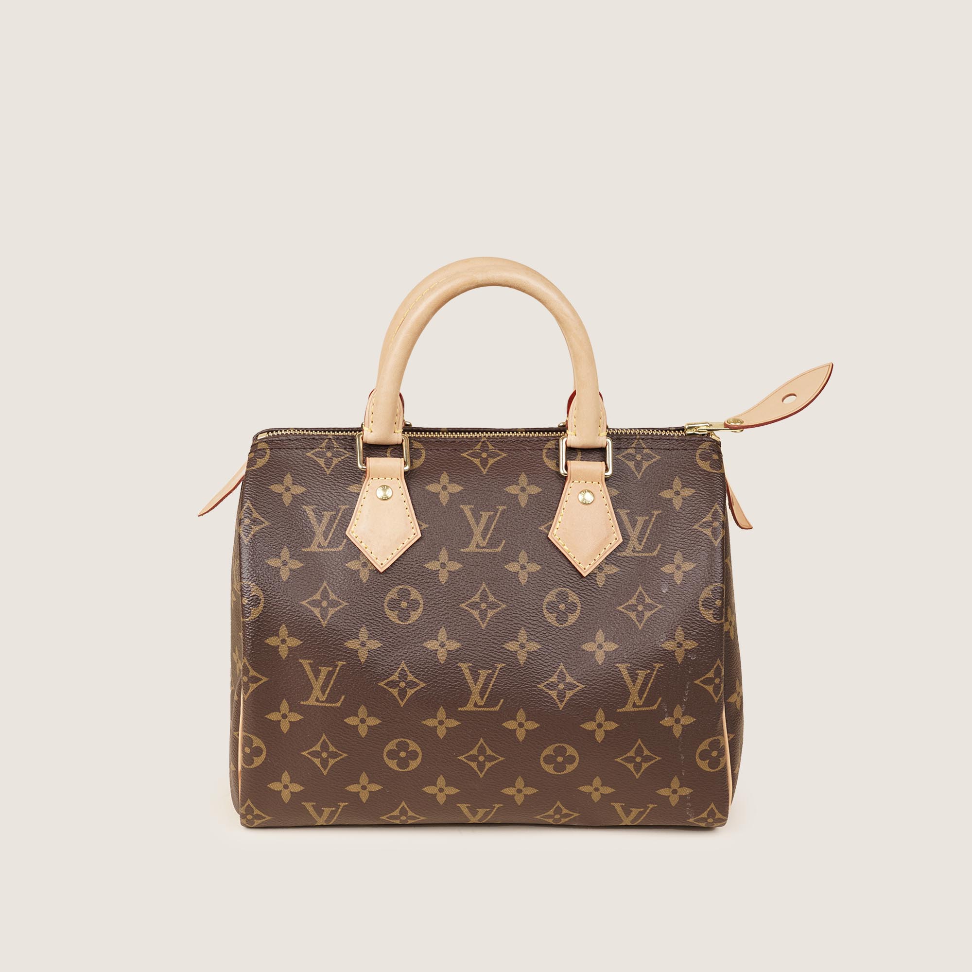 Speedy 25 Handbag